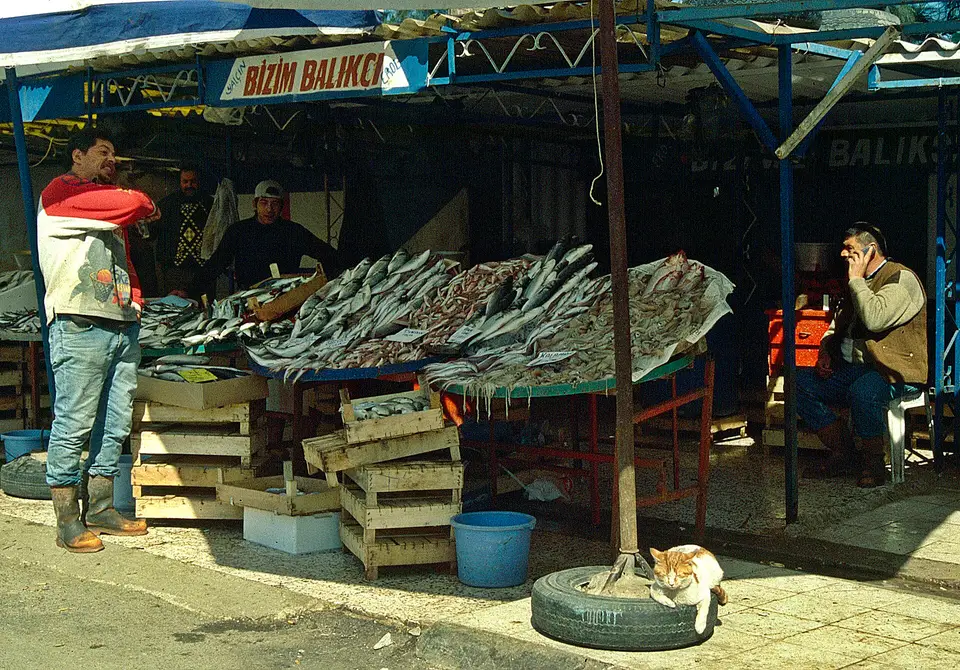 İzmir Balçova pazarında tente altında kasalarla kurulmuş balık tezgâhı