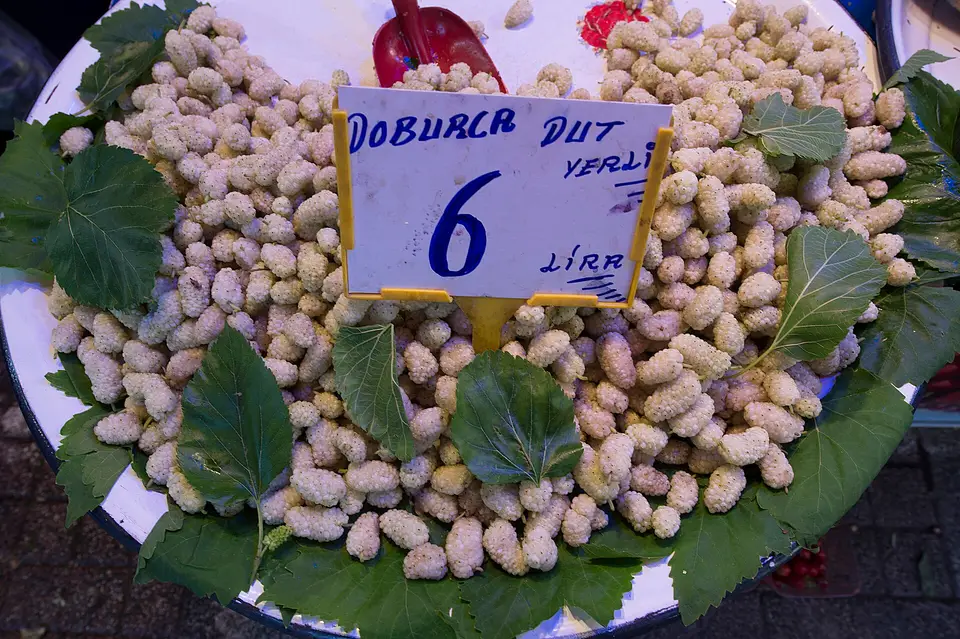 Yaprak üzerinde fiyat kartıyla satılan beyaz dut