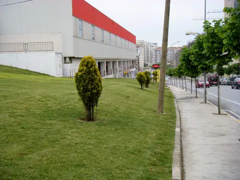 İstanbul Beylikdüzü'nde kapalı semt pazarı binası ve önündeki yeşil alan