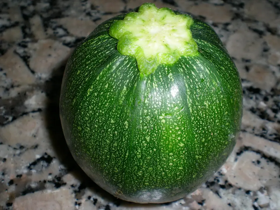 Tezgâh üzerinde yuvarlak yeşil Girit kabağı