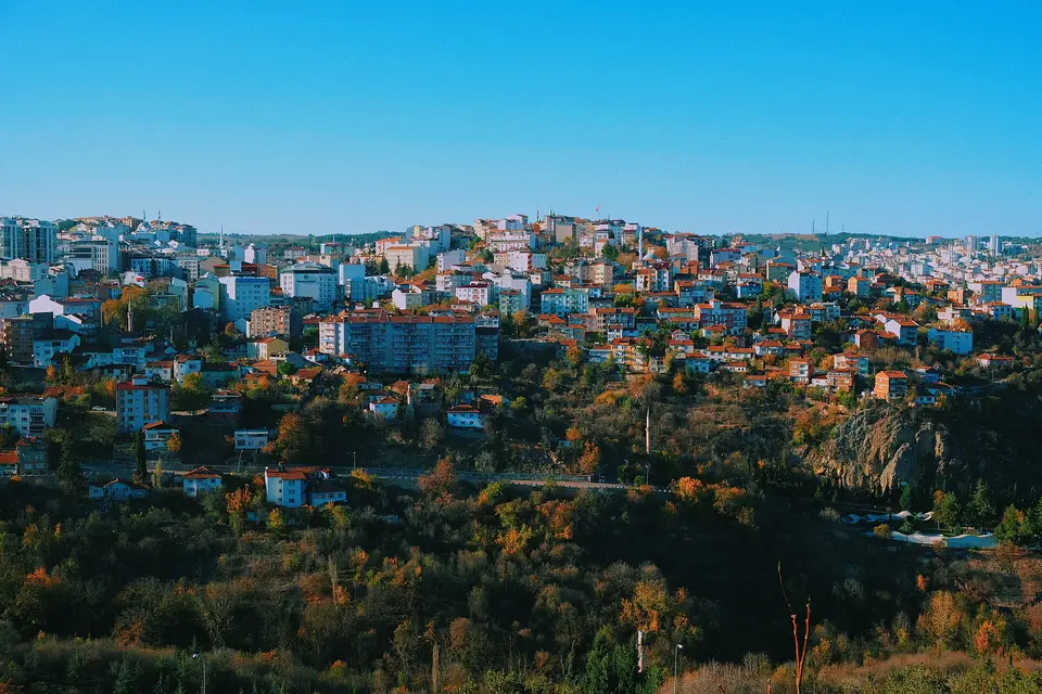 Temsilî görsel — Kent ormanından Bilecik panorama