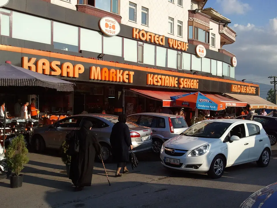 Temsilî görsel — Orhangazi (Bursa): kentin genel görünümü
